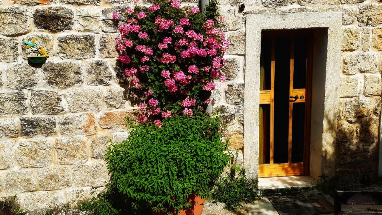 19Th Century Magical House In Galilee Eilabun Exterior foto